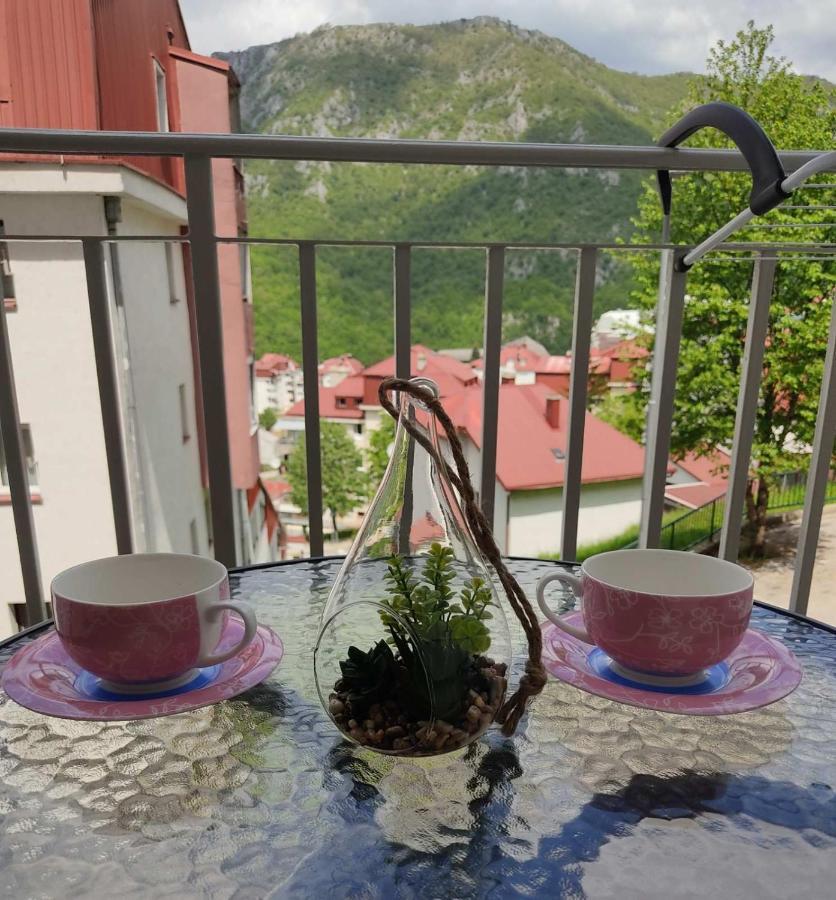 Apartman Andjela Plužine Buitenkant foto