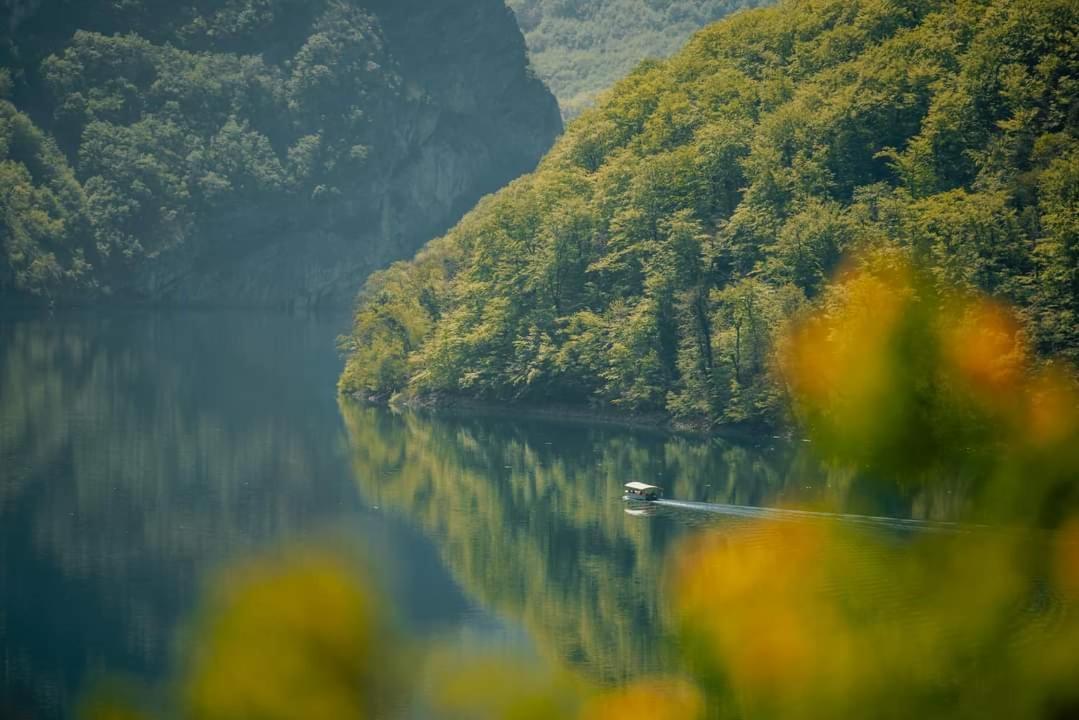 Apartman Andjela Plužine Buitenkant foto